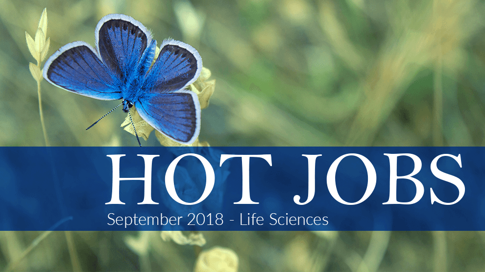 Hot Jobs September 2018 – Life Sciences
