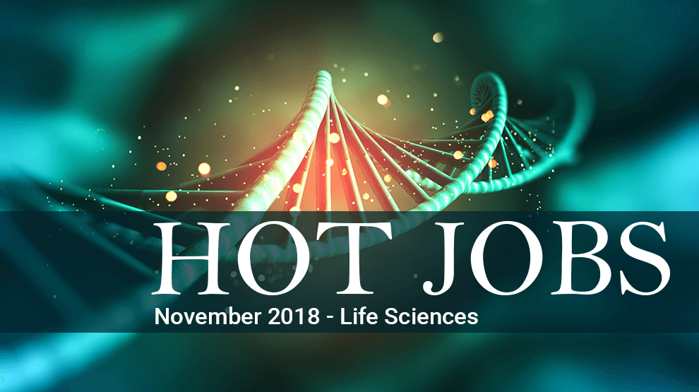 Hot Jobs November 2018 - Life Sciences