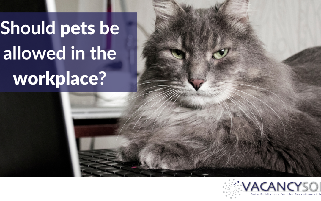 Should pets be allowed in the workplace?