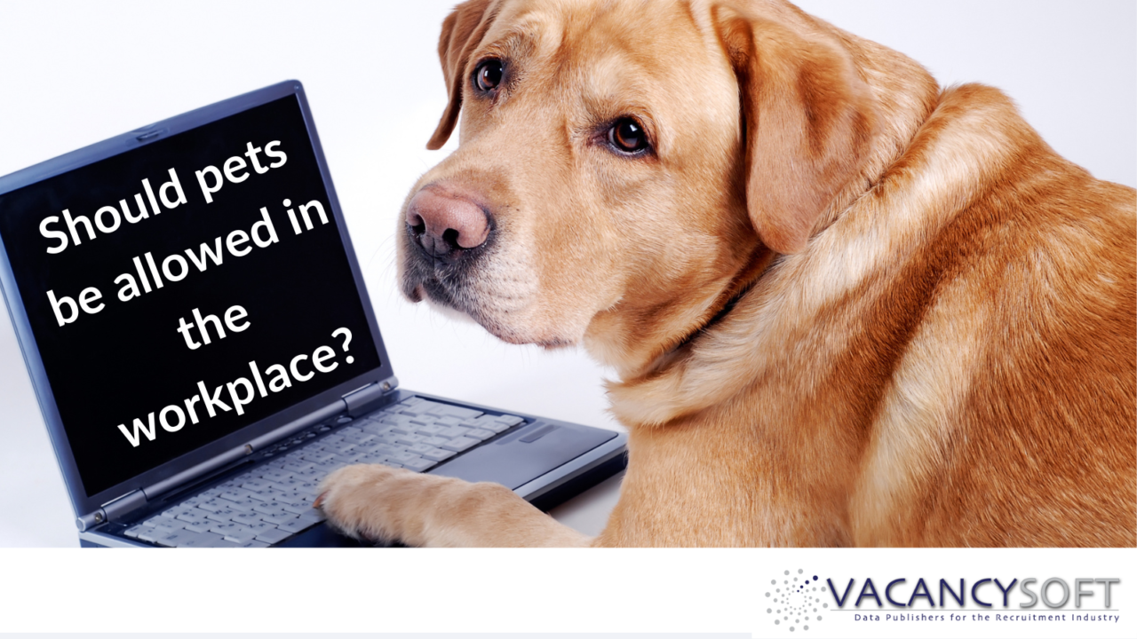 Should pets be allowed in the workplace? Vacancysoft